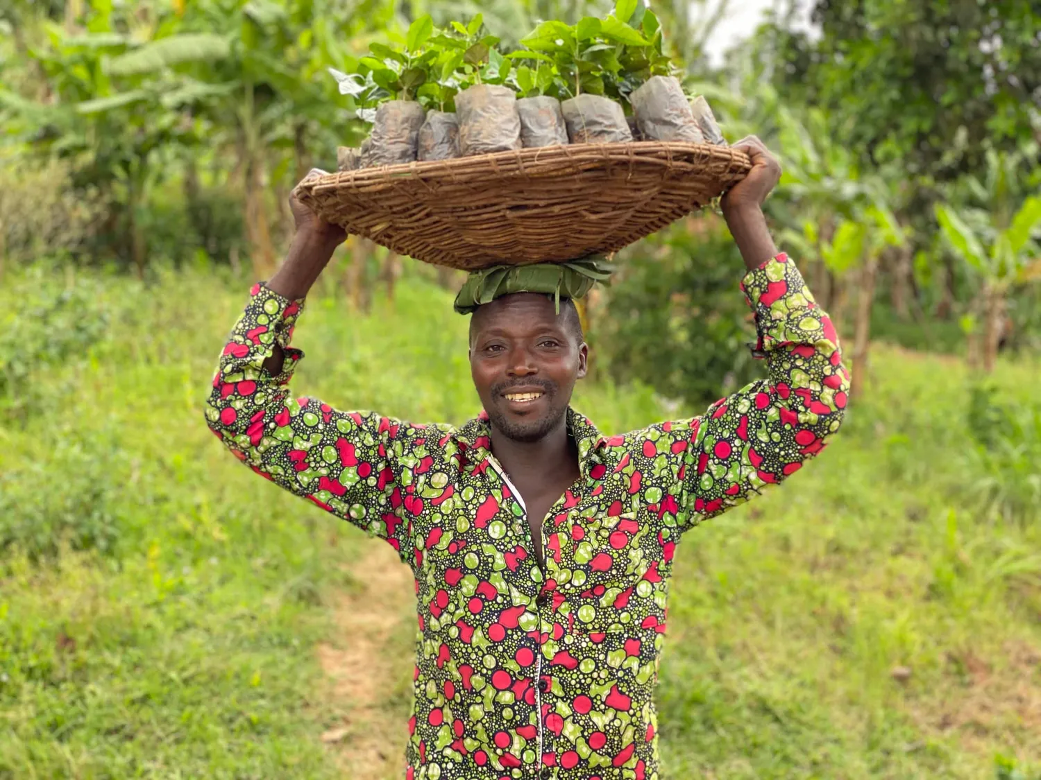 Pure Africa Proefpakket koffiebonen vers gebrand