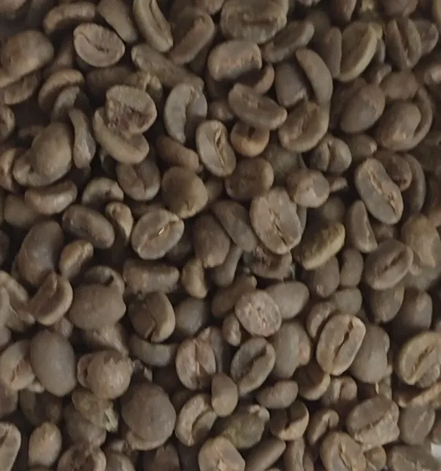 Mario's Koffie Cerrado Fine Cup groene koffiebonen 500g thuisbranden