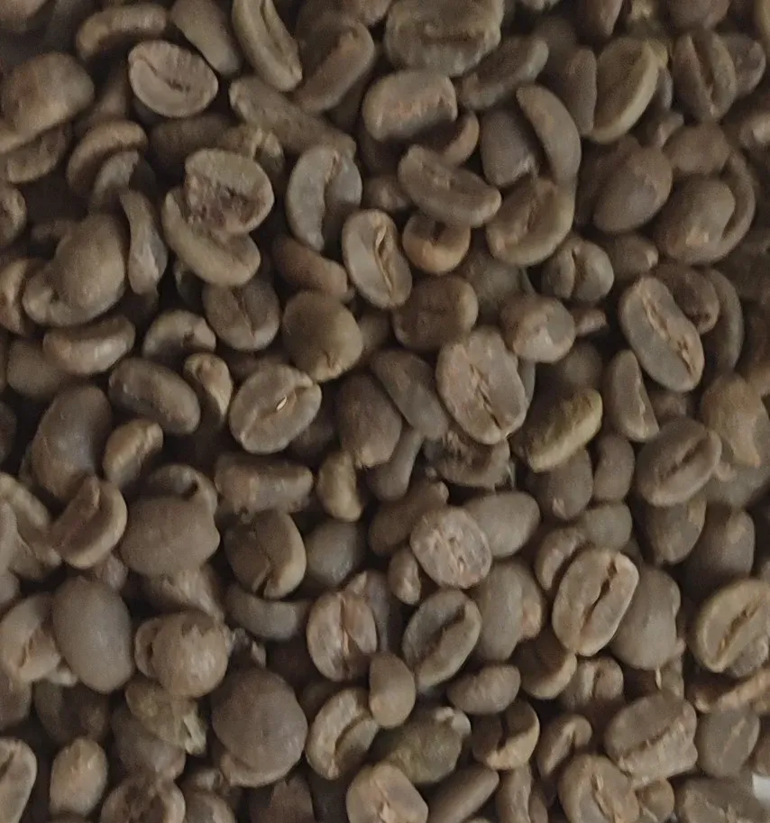 Mario's Koffie Cerrado Fine Cup groene koffiebonen 500g thuisbranden
