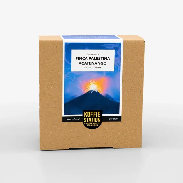 Koffiestation Guatemala Gesha koffiebonen Finca Palestina filter