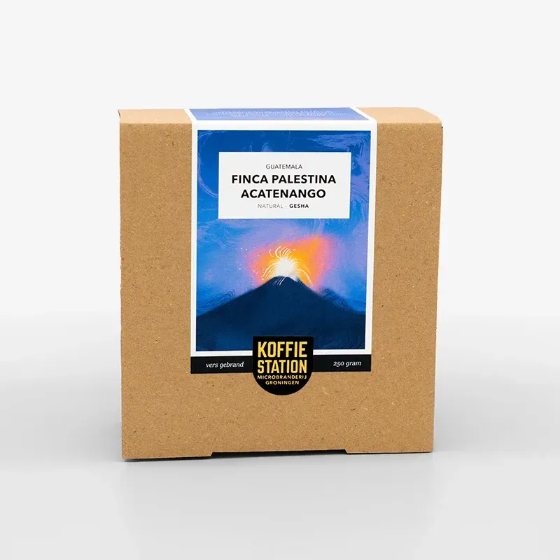 Koffiestation Guatemala Gesha koffiebonen Finca Palestina filter