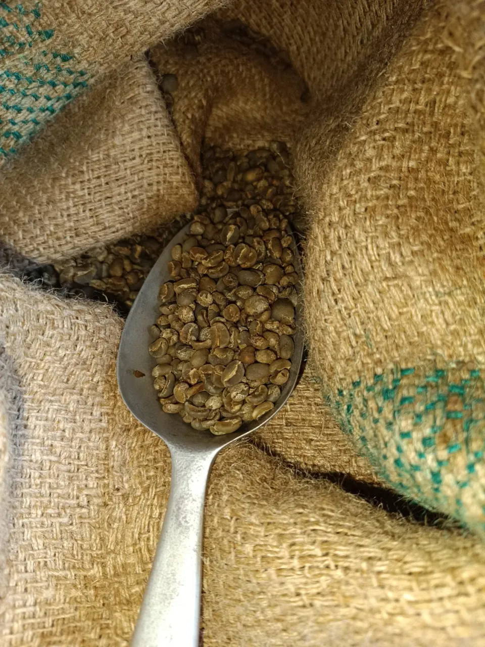 Mario's Koffie Sulawesi Kalossi groene bonen 500 g fruitig