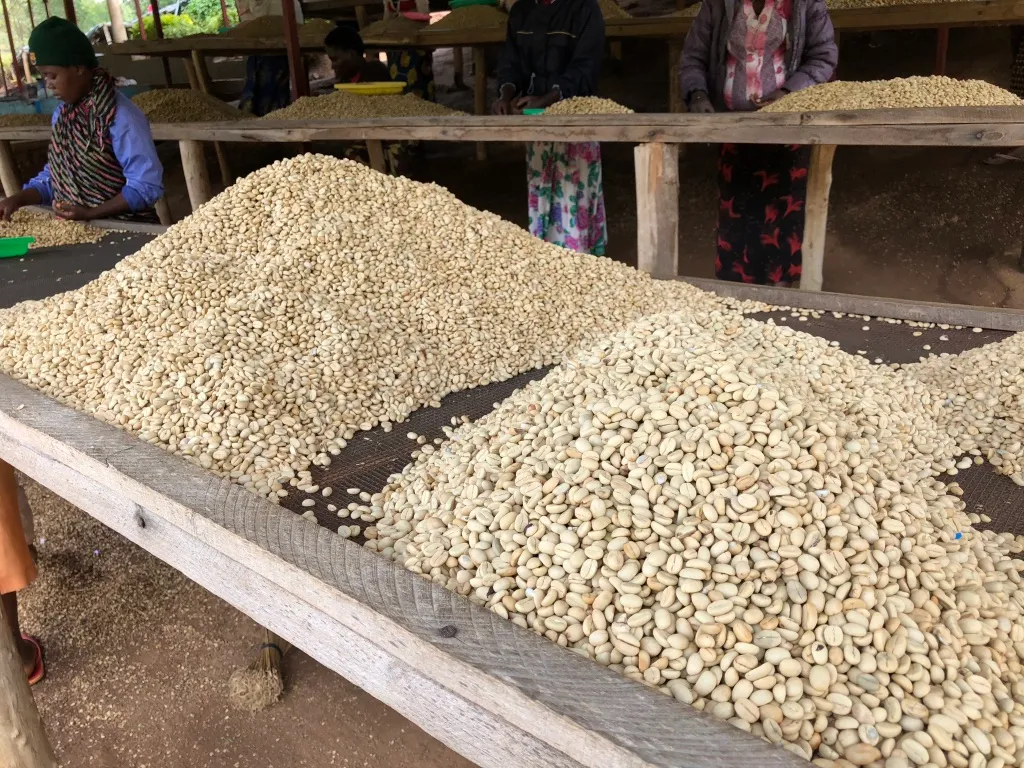 Pure Africa Coffee Waaghals koffiebonen 10 x 750g donker