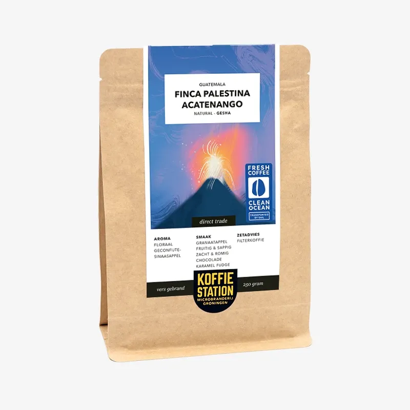 Koffiestation Guatemala Gesha koffiebonen Finca Palestina filter