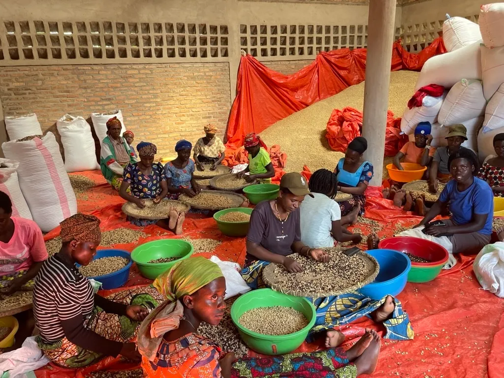 Pure Africa Proefpakket koffiebonen vers gebrand